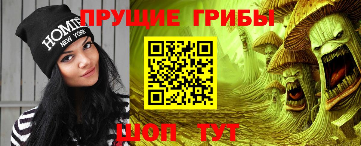 Галлюциногенные грибы Cubensis  Галлюциногенные грибы Psilocybine cubensis  где найти   Вход с VPN  Котовск 